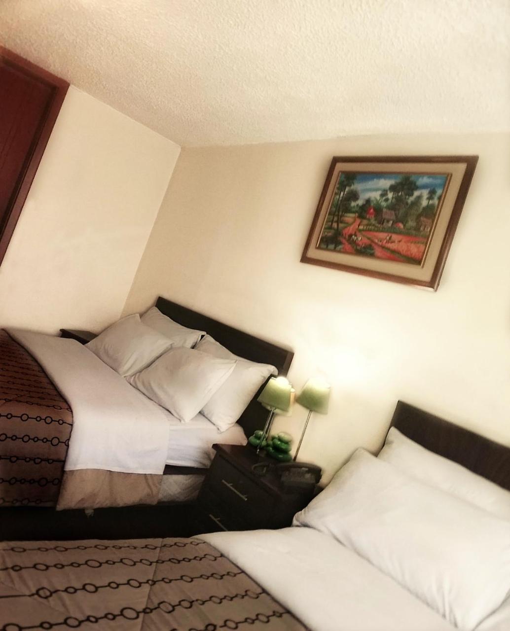 Hostal El Roble كويتو المظهر الخارجي الصورة